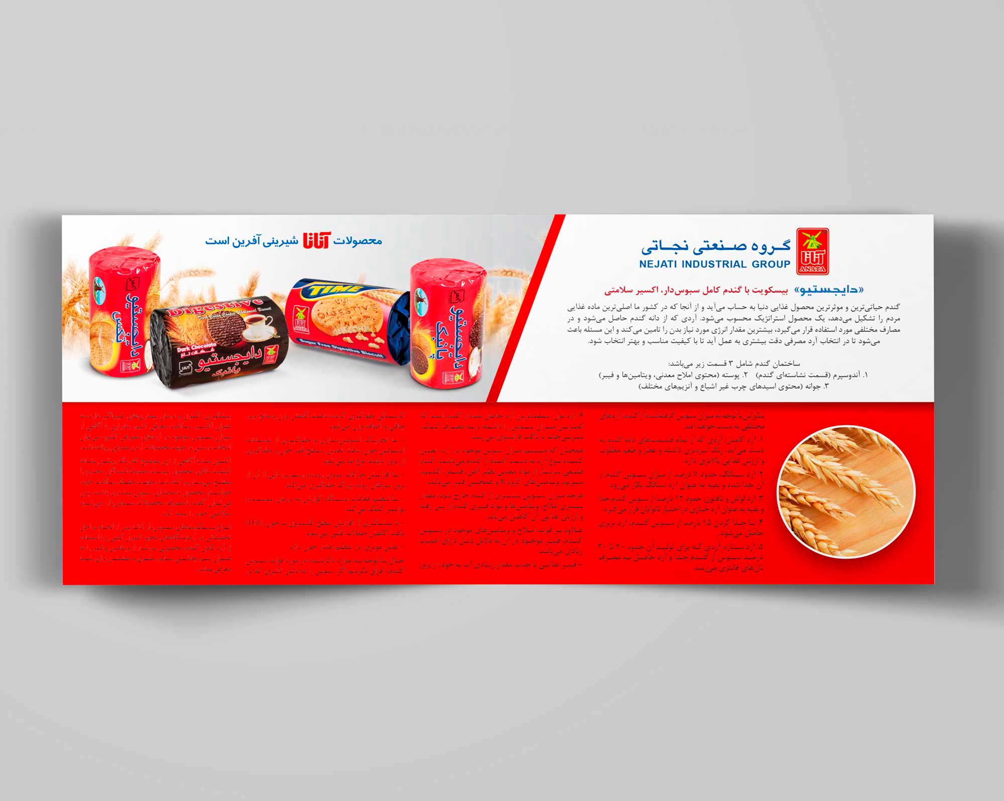 arts_brochure_4